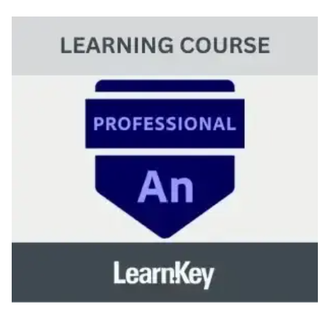 Adobe Certified Professional – After Effects LearnKey - Netcraftz